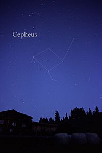CepheusCC