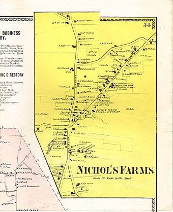 Clark's 1867 Map Nichol's Farms.JPG
