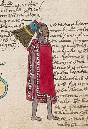 Codex Mendoza fol. 64r detail Tlacatecatl