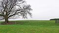 Combs Farm Camp Iron Age Hillfort