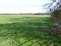 Dungee Corner Meadow 3