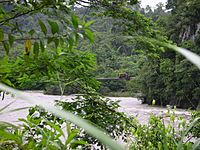 Ecuador bridgeoverthePastazas2