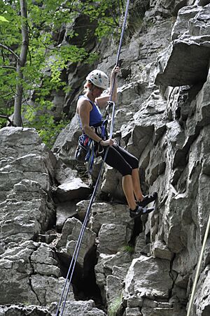 Elizabeth Furnace - Repeling
