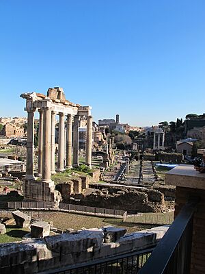 Foro romano dal campidoglio 04