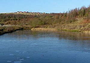 Gedling lagoon