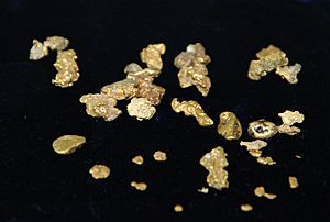 Gold (surface mine near Nevadaville, Colorado, USA) (16994883630)