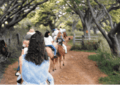 Horse ride around the Kualoa Ranch trails