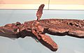 Ichthyosaur (unidentified), Dorset, England, Early Jurassic - Royal Ontario Museum - DSC09969