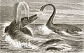 Ichthyosaur and Plesiosaur 1863
