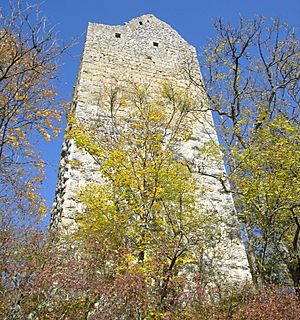 The ruined castle of Kallenberg