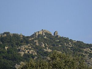 La Tortuga Sierra del Hoyo