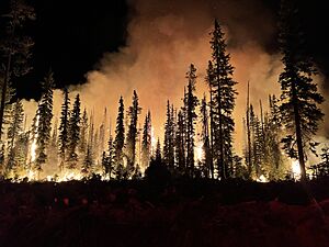 Lick Fire on the Umatilla National Forest burning at night