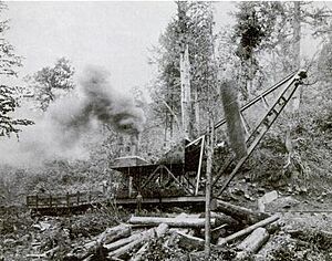 Little-river-lumber-company-skidder-tn1
