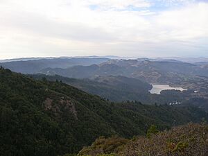 Marin Hills. Bon Tempe Lake and Lake Lagunitas, Mill Vallet, CA
