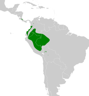 Micromonacha lanceolata map.svg