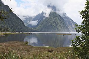 Milford Sound and Sinbad Gully -New Zealand-9Jan2009