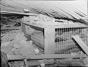 Morrison Shelter on Trial- Testing the New Indoor Shelter, 1941 D2294