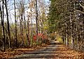Mount Kisco, New York Access Road in Autumn
