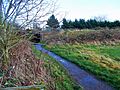 Mowbray Reserve Didcot (geograph 5512653)