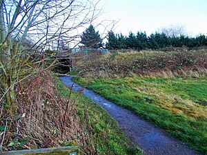 Mowbray Reserve Didcot (geograph 5512653)