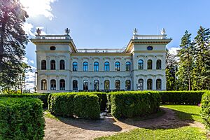 Näsilinna, Museo Milavida