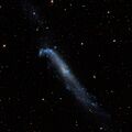 NGC4656 - SDSS DR14 (panorama)