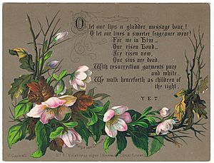 No. 6., Heleborus niger, by Helga von Cramm, chromolithograph, & prayer by Y.E.T., c. 1880