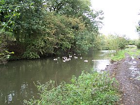 Nutbrook Canal still exists.JPG