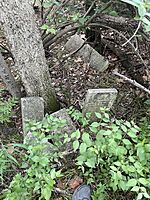 Payton Cemetery in Columbia, Missouri on May 12, 2023.jpg