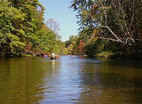 Pere Marquette River in Autumn Manistee National Forest.JPG