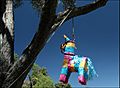 Piñata in San Diego