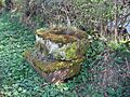 Plague stone