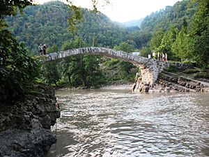 Queen Tamar's bridge near Makhuntseti (G.N. 2011)