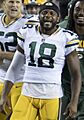 Randall Cobb 2017