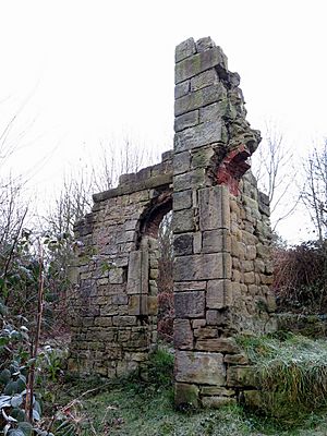Remains of Starlight Castle (geograph 5622927)