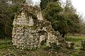 Ruins of Ankerwyke Priory