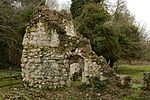 Ruins of Ankerwyke Priory.jpg