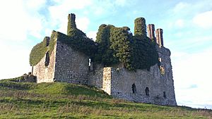 Ruins of Carbury, County Kildare