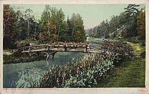 Rustic Bridge over Old Channel (NBY 7113)