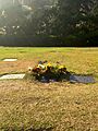 Sally Hansen Grave Hollywood Hills 2