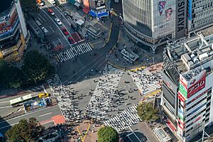 Shibuya scramble square sky view of crossing (48995414042)