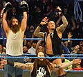 Smackdown Tag Team Champions The Wyatt Family