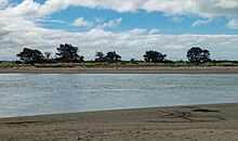 Southshore Spit Reserve from Sumner Beach, Christchurch, New Zealand 12