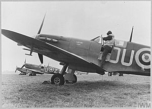 Spitfire VB of 485 Squadron