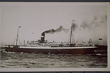 Steamship Corsican