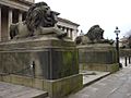 Stone lions guarding the Plateau, St George's Hall - geograph.org.uk - 1766014.jpg
