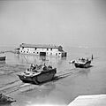 The British Army in Italy 1945 NA23992