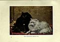 The book of the cat (Plate (2)) BHL23996405