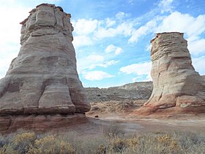 Tonalea-Elephants Feet-2