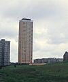 Tower Block UK photo glw6-17 (Red Road 1981) (cropped)
